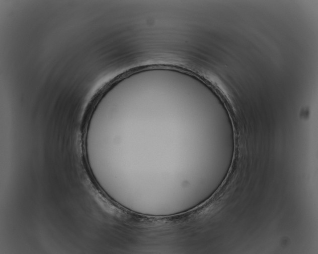 X0000091721072200708241014