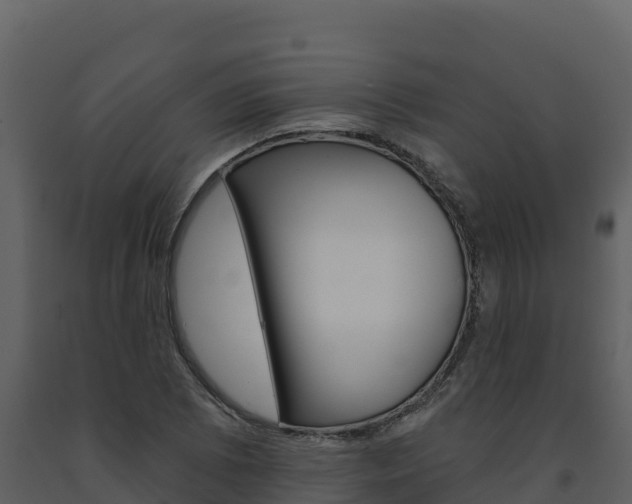 X0000091721073200708241014