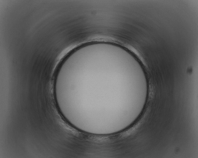 X0000091721074200708241014