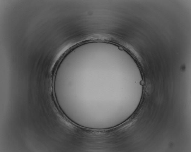 X0000091721075200708241014