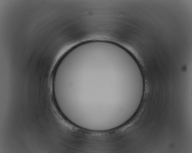 X0000091721078200708241014