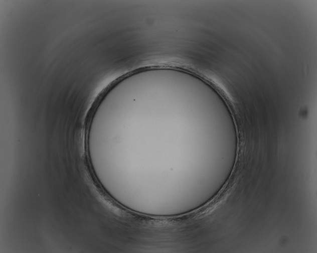 X0000091721079200708241014