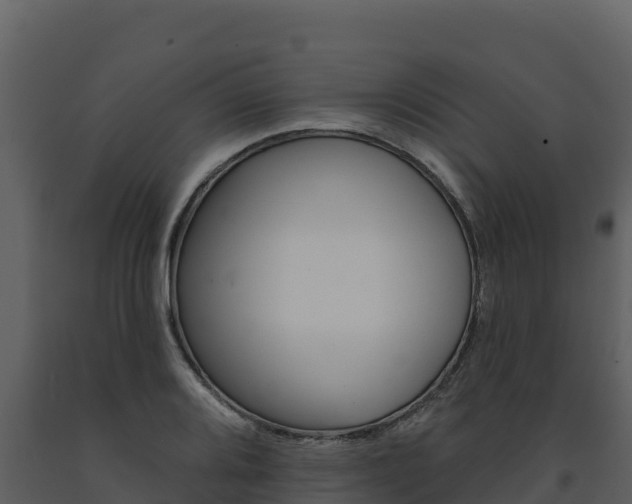 X0000091721080200708241014