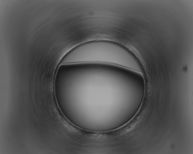 X0000091721081200708241014