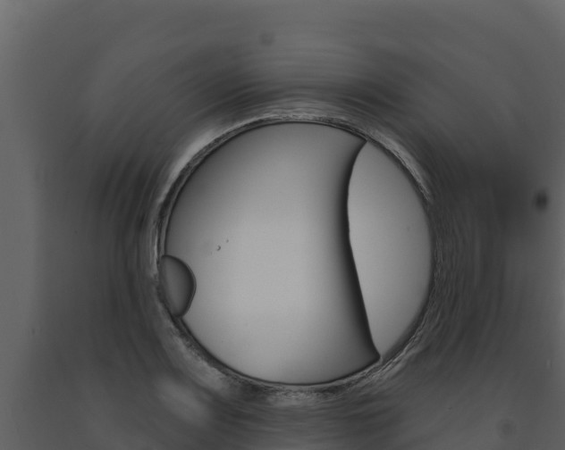 X0000091721083200708241014