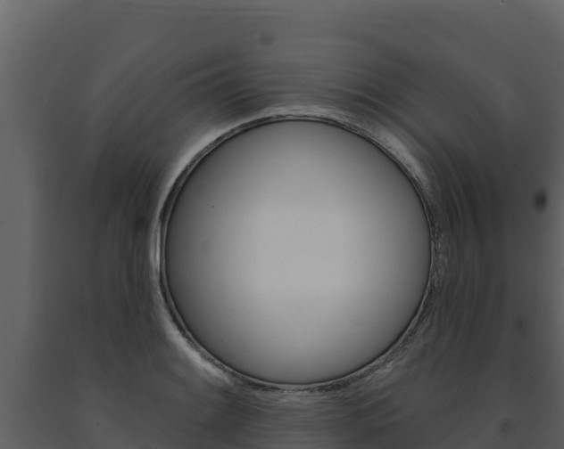 X0000091721084200708241014
