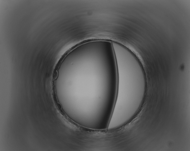 X0000091721085200708241014
