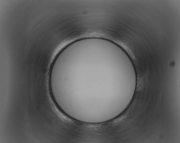 X0000091721086200708241014