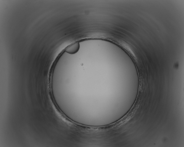 X0000091721087200708241014