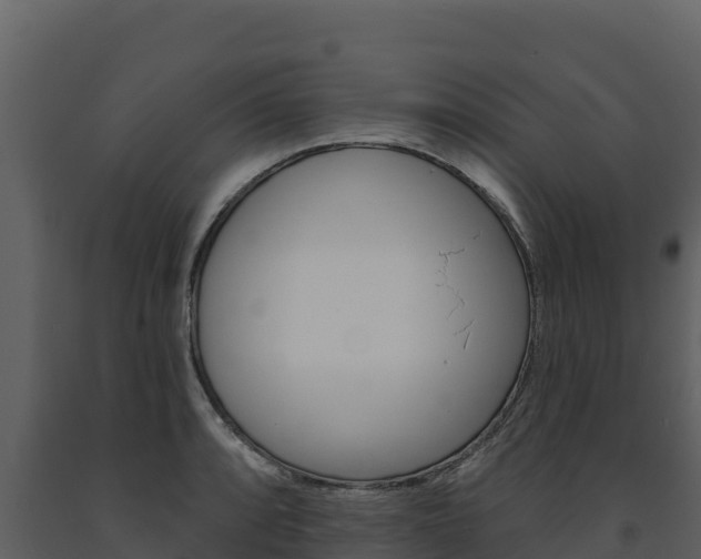 X0000091721088200708241014