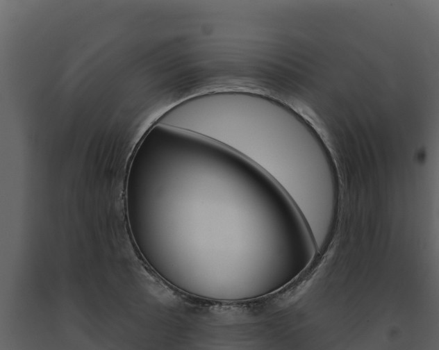 X0000091721089200708241014