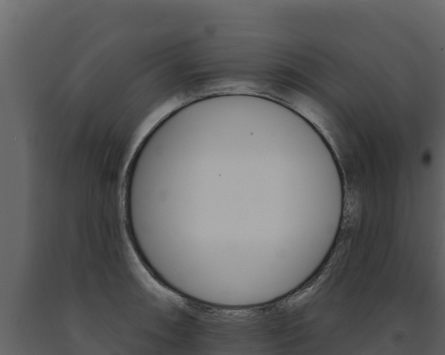 X0000091721090200708241014