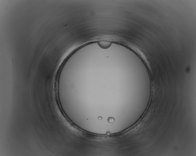 X0000091721091200708241014