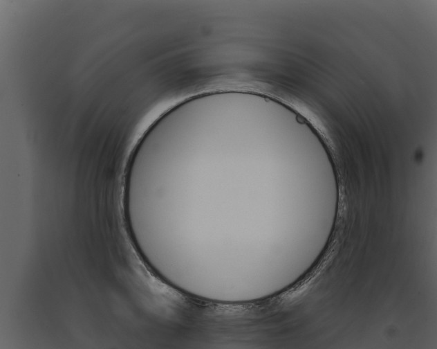 X0000091721094200708241014
