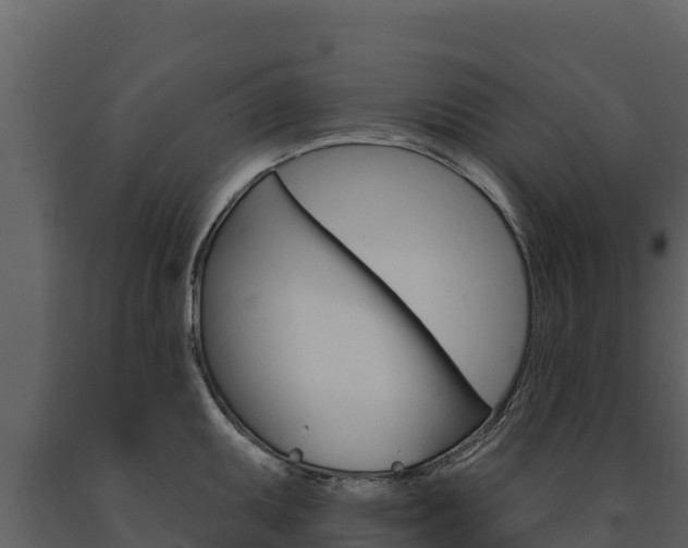 X0000091721095200708241014
