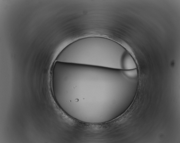 X0000091721096200708241014