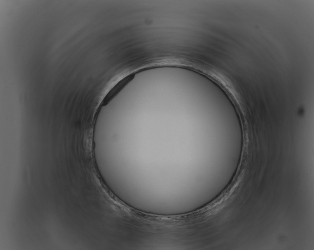 X0000091721097200708241014
