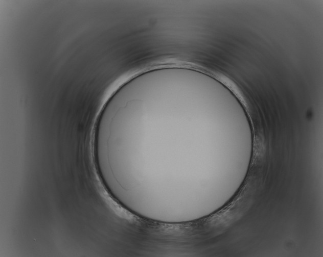 X0000091721098200708241014