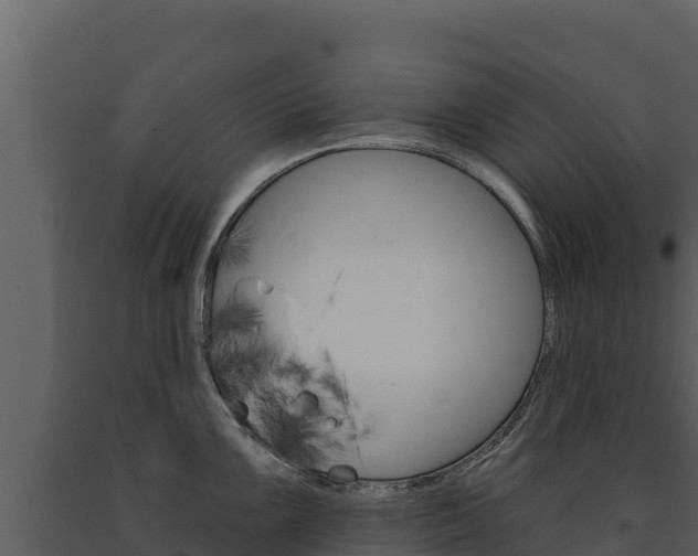 X0000091721099200708241014