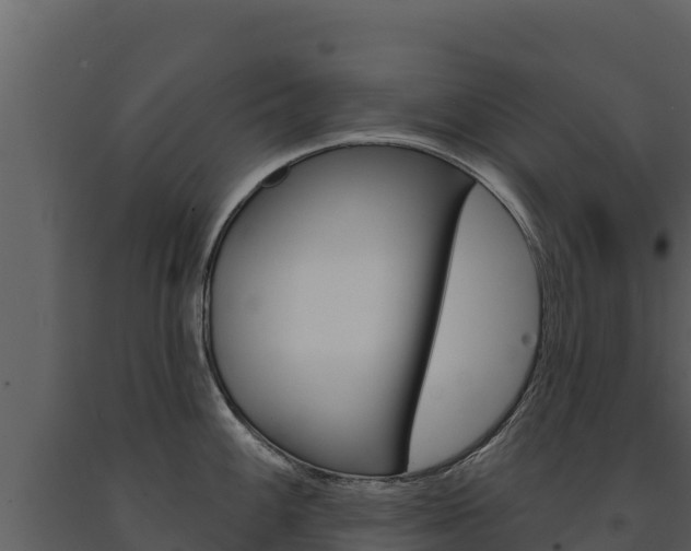 X0000091721100200708241014