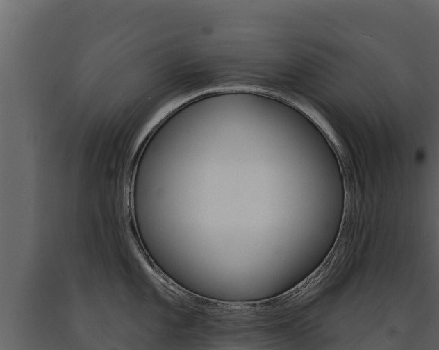 X0000091721101200708241014