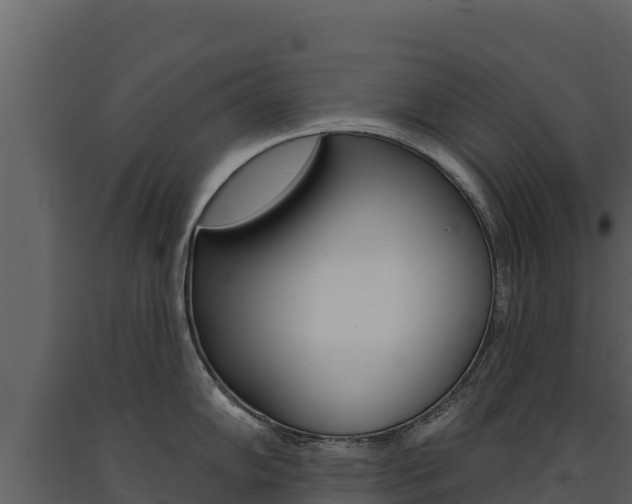 X0000091721102200708241014