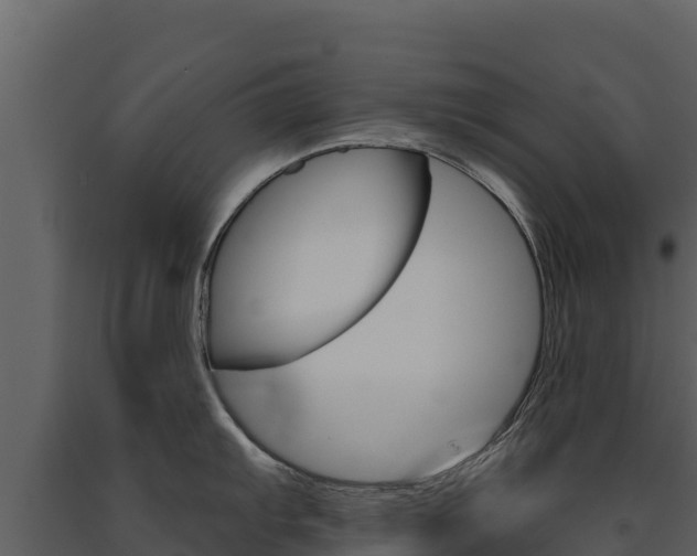 X0000091721103200708241014