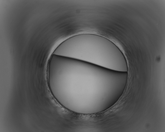 X0000091721104200708241014