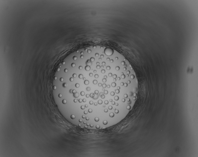 X0000091721105200708241013