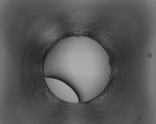 X0000091721106200708241013
