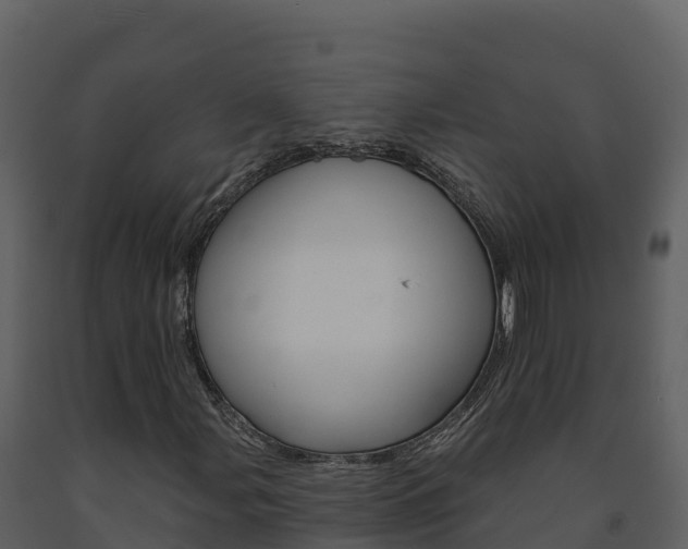 X0000091721107200708241013
