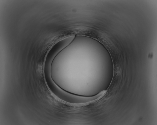 X0000091721108200708241013