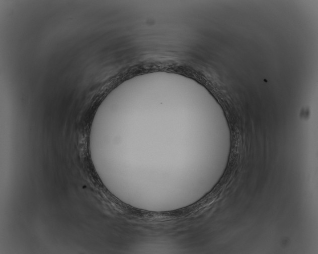 X0000091721109200708241013