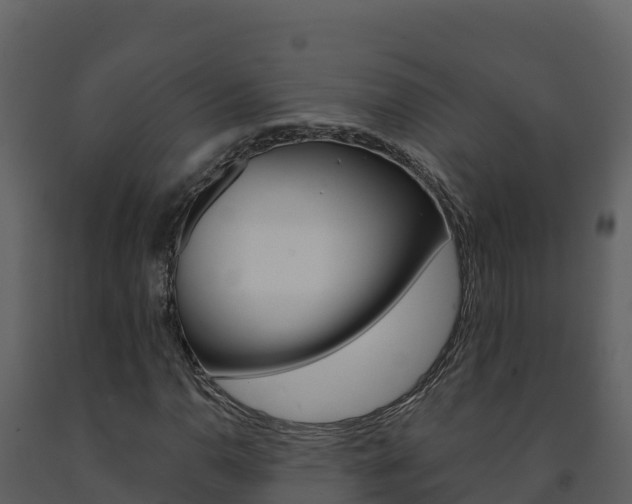 X0000091721110200708241013