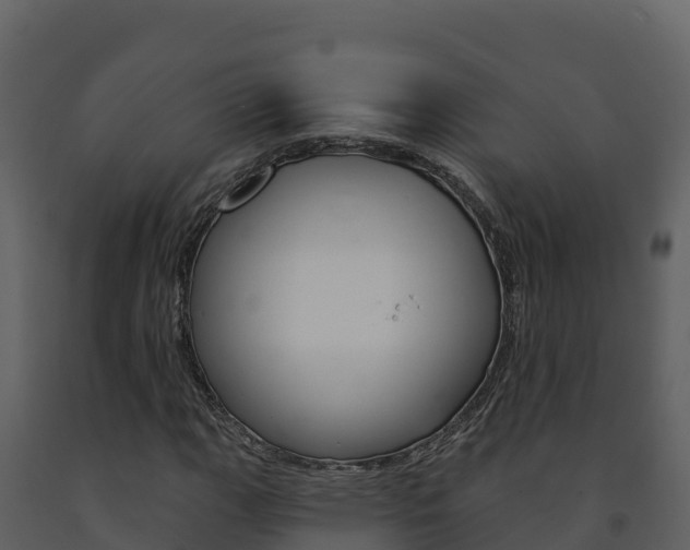X0000091721111200708241013