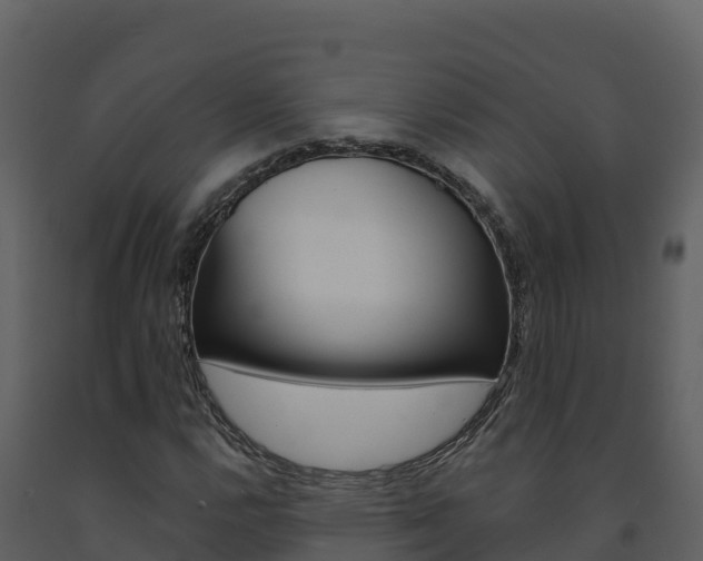 X0000091721112200708241013