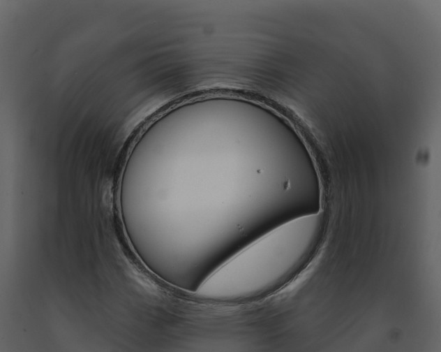 X0000091721113200708241013
