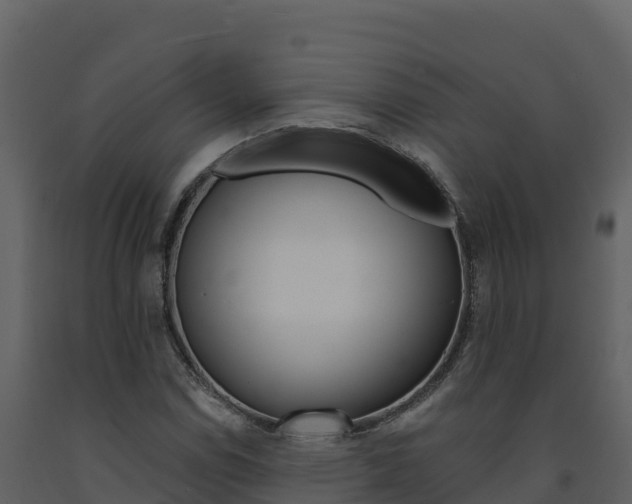 X0000091721114200708241013