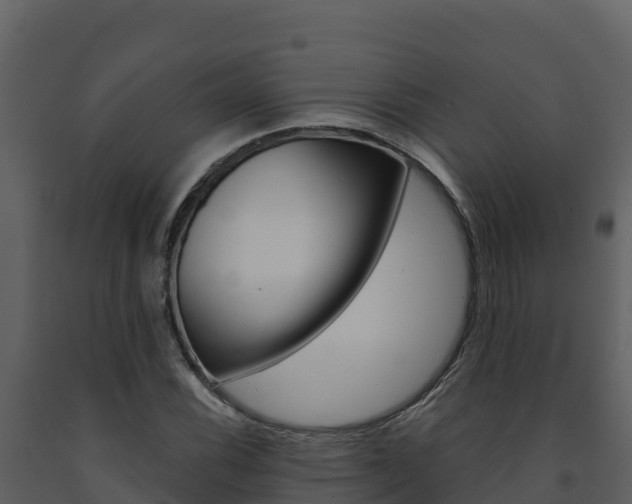 X0000091721116200708241013
