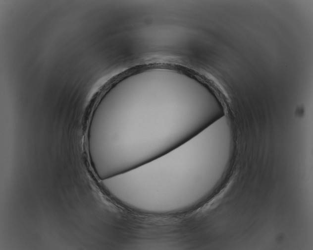 X0000091721117200708241013