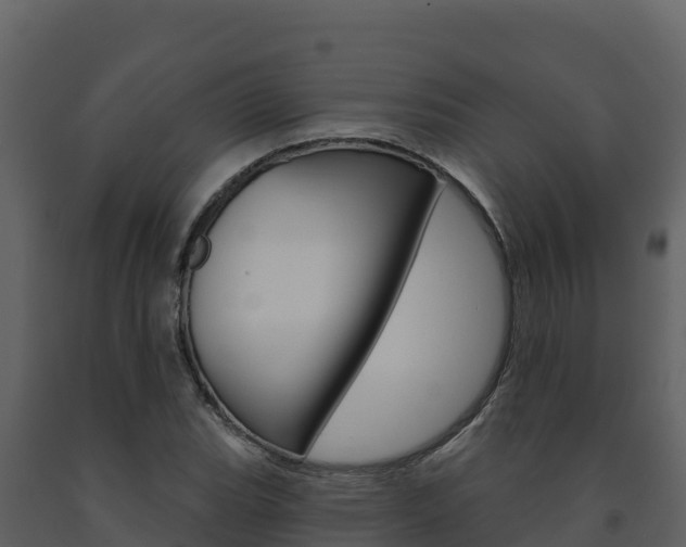 X0000091721119200708241013