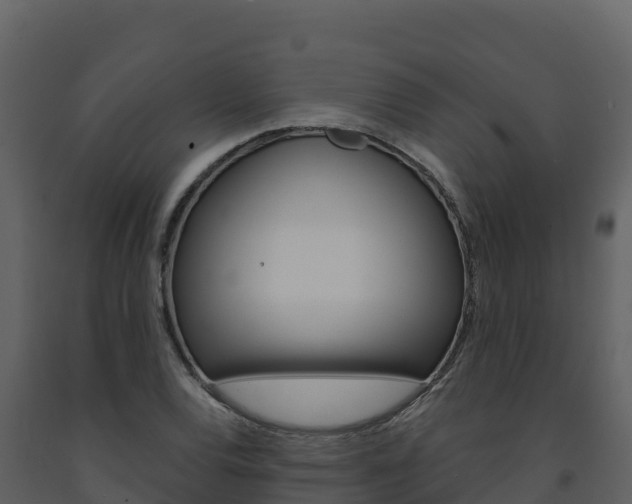 X0000091721120200708241013