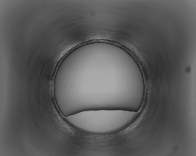 X0000091721121200708241013