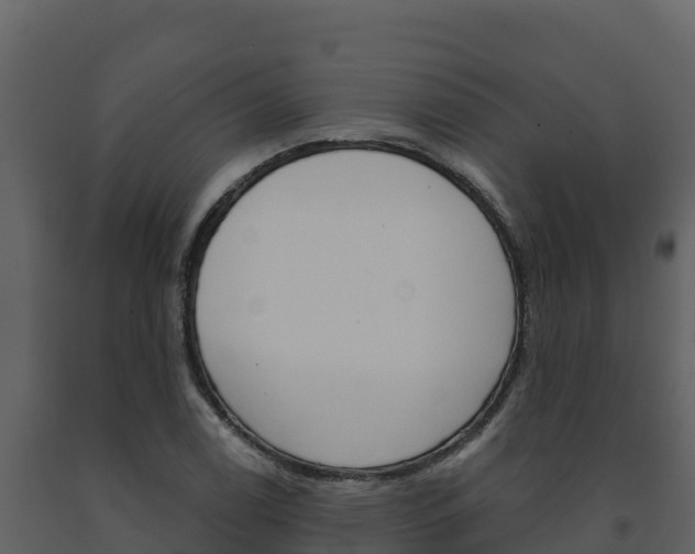 X0000091721122200708241013