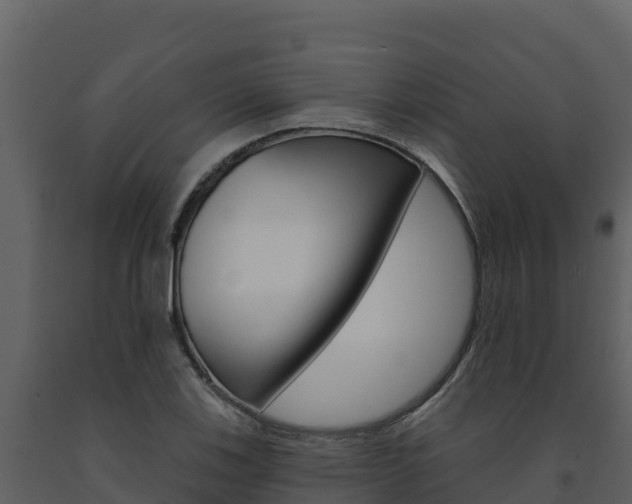X0000091721123200708241013