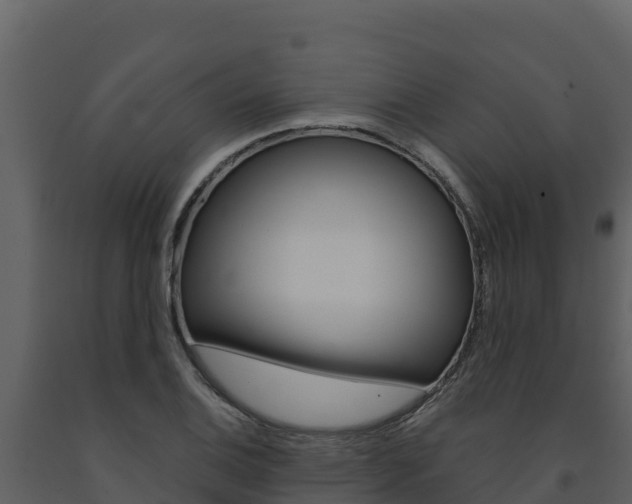 X0000091721124200708241013
