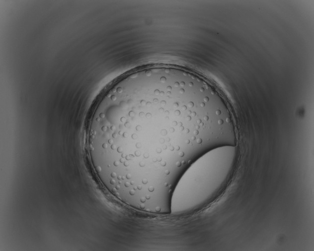 X0000091721125200708241013