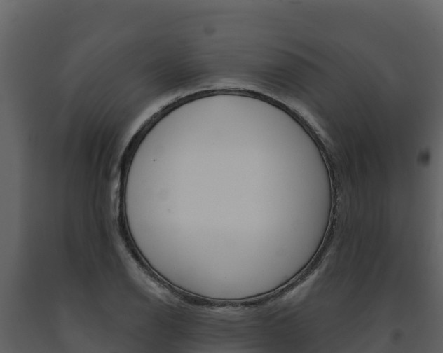 X0000091721126200708241013
