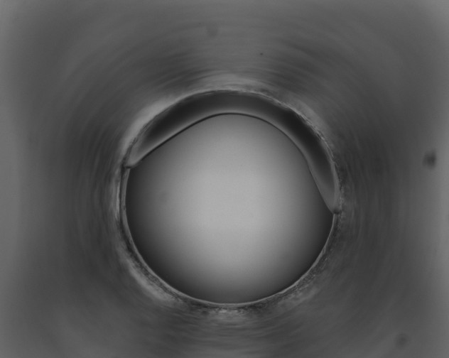 X0000091721128200708241013