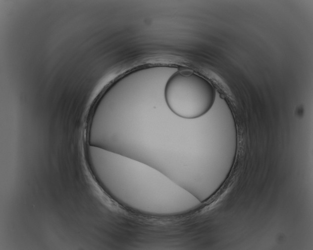 X0000091721130200708241013